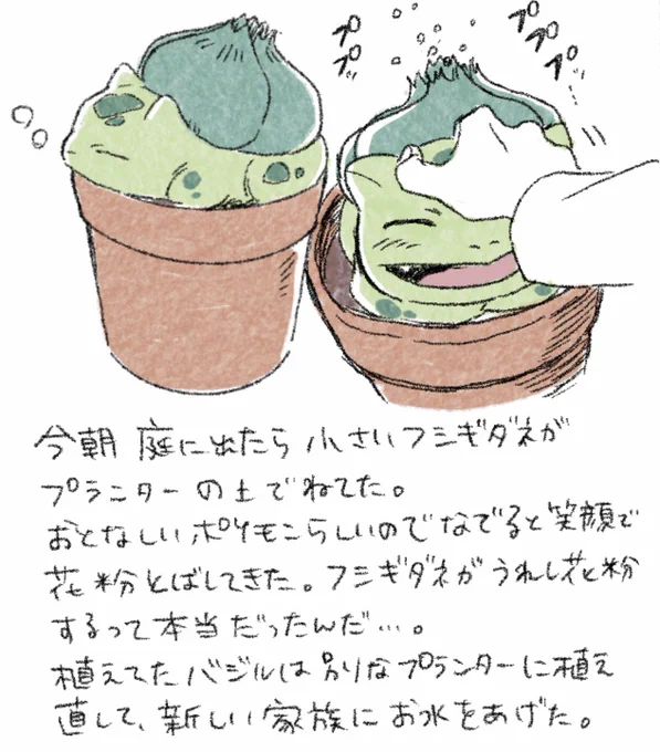 #ポケモンと生活 
フシギダネ 
