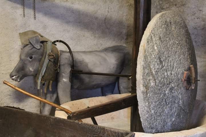 CCIAARIVLIG's tweet photo. Ultime tappe del tour alla scoperta del territorio coi giovani studenti provenienti da #Sardegna, #Corsica e #Liguria
Cascina Feipu Massaretti Albenga, Coop Olivicola Arnasco Museo Oliva Museo latte Guatelli Chiusanico
progetto #GIM Giovani in Movimento
#expovallearroscia https://t.co/ZLkpvRN1wc