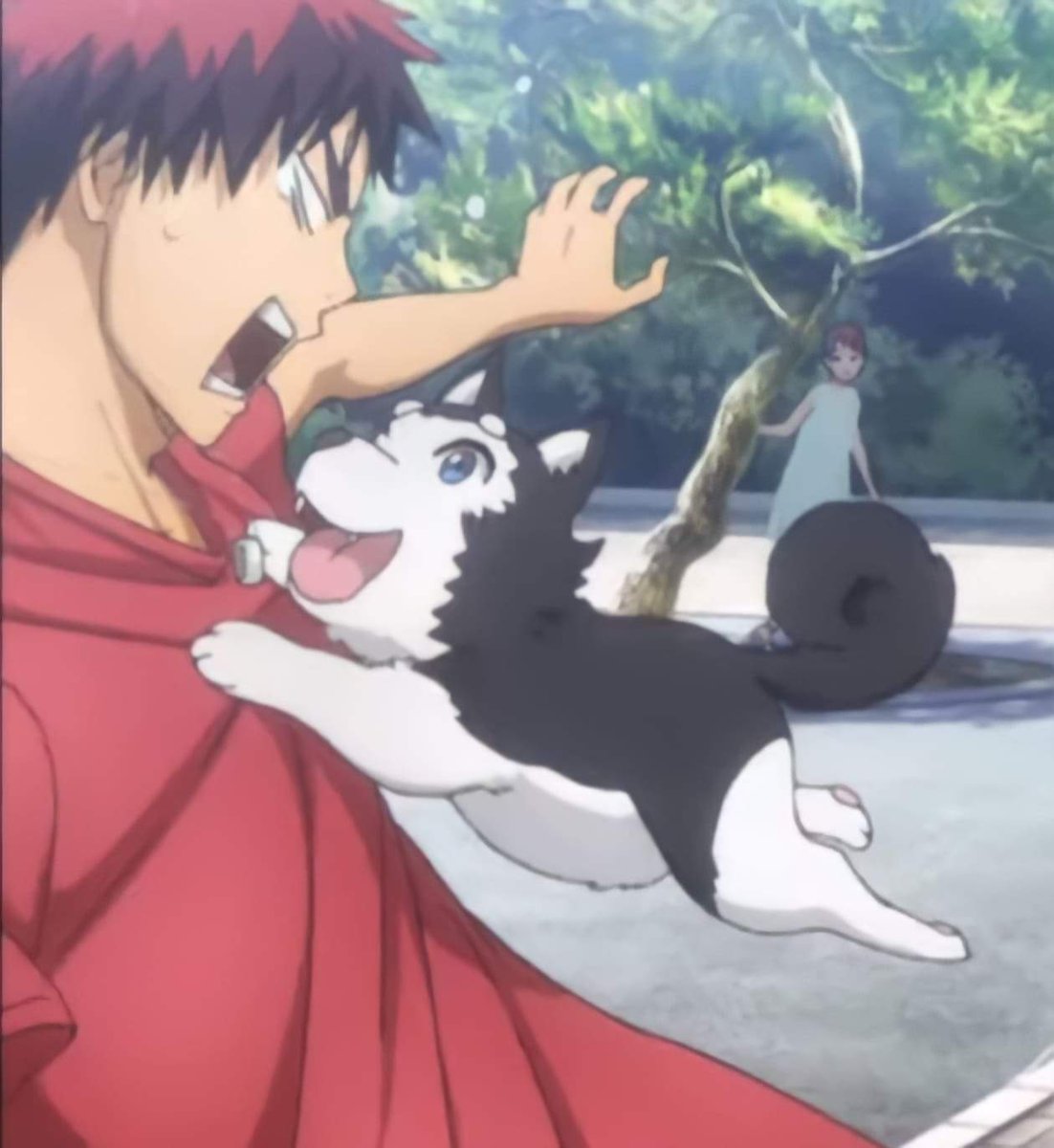 โฮ่งๆ/กระโดดใส่พี่ชายจิ้งจอก