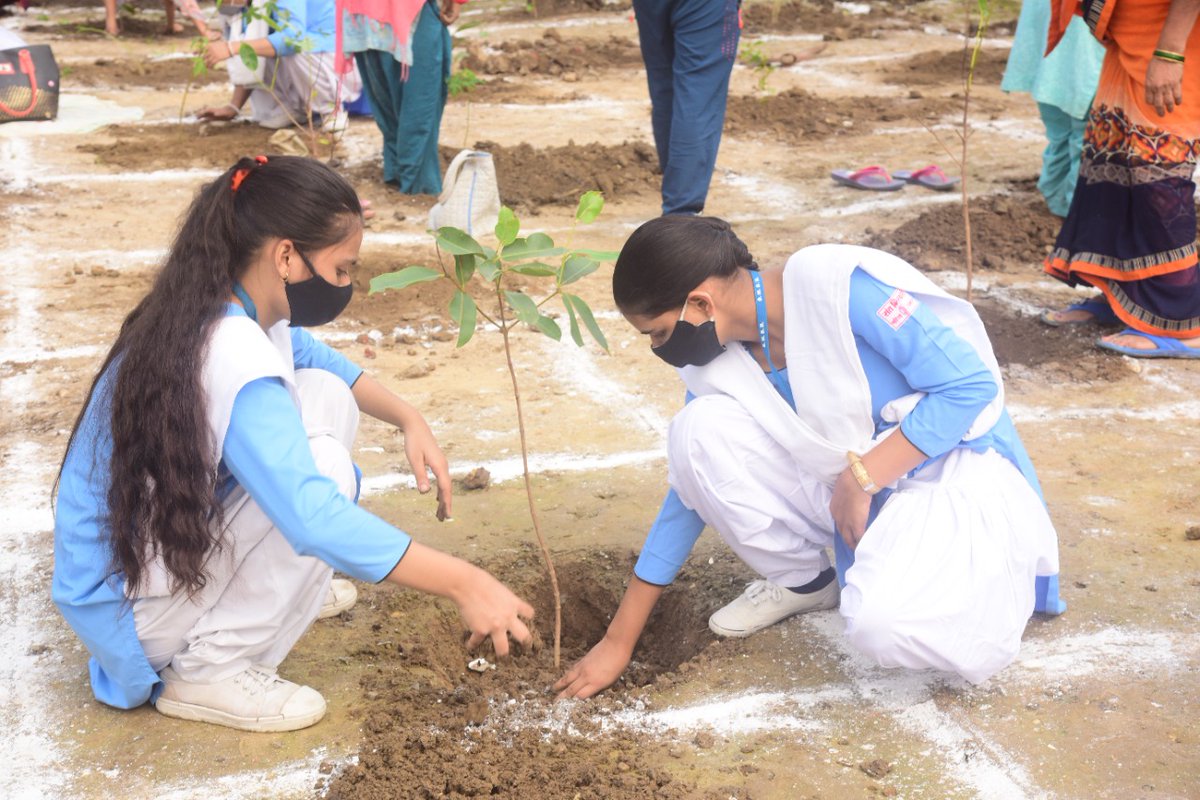 Nivedit51927313's tweet image. I Planted a Tree because it gives us life, with #onenessvann #Ghaziabad on 29th August

#onenessvann 
#santnirankarimission 
#sncf

@OnenessVann 
@santnirankari 
@sncfoundation