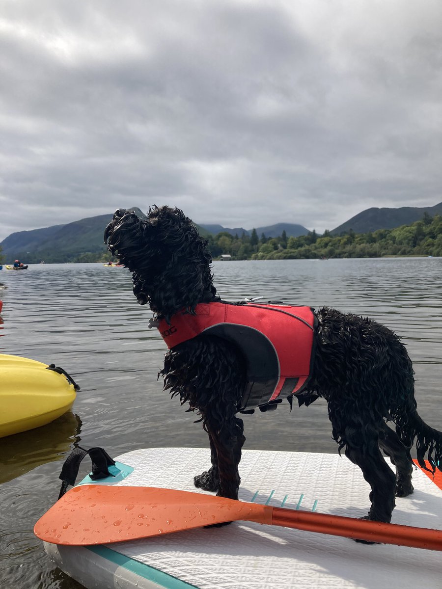 Harry Wallop tweet media