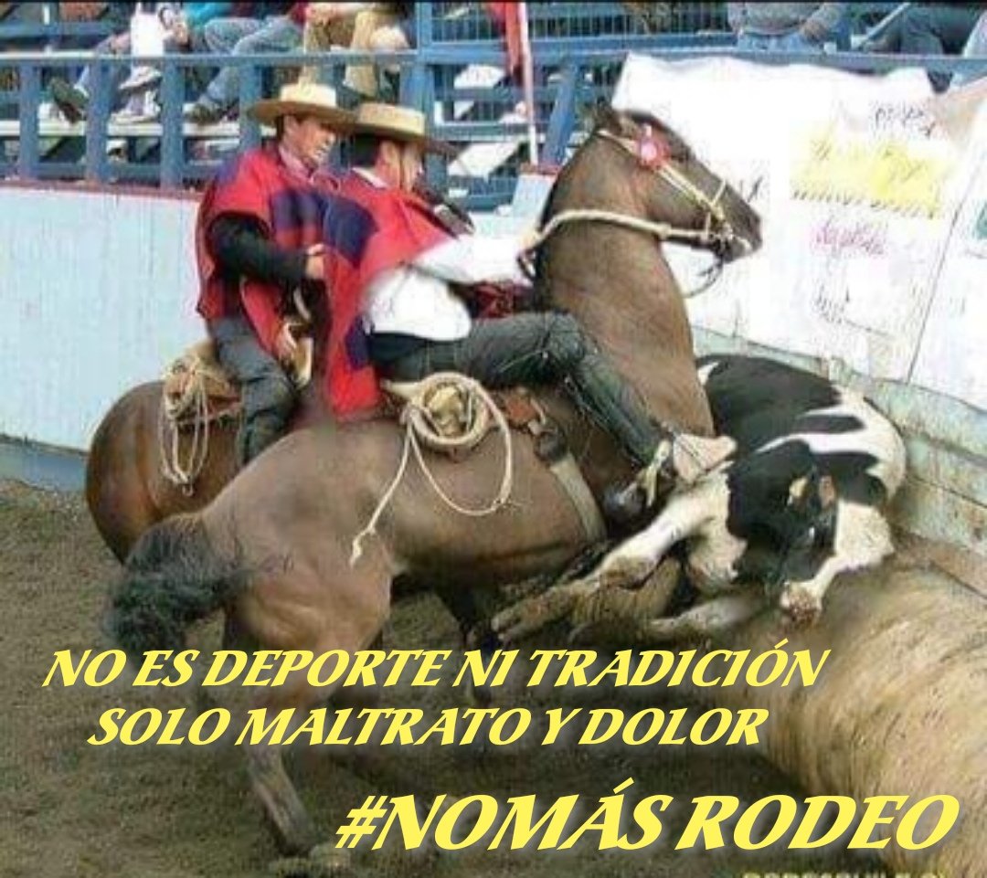 #NoMasRodeo