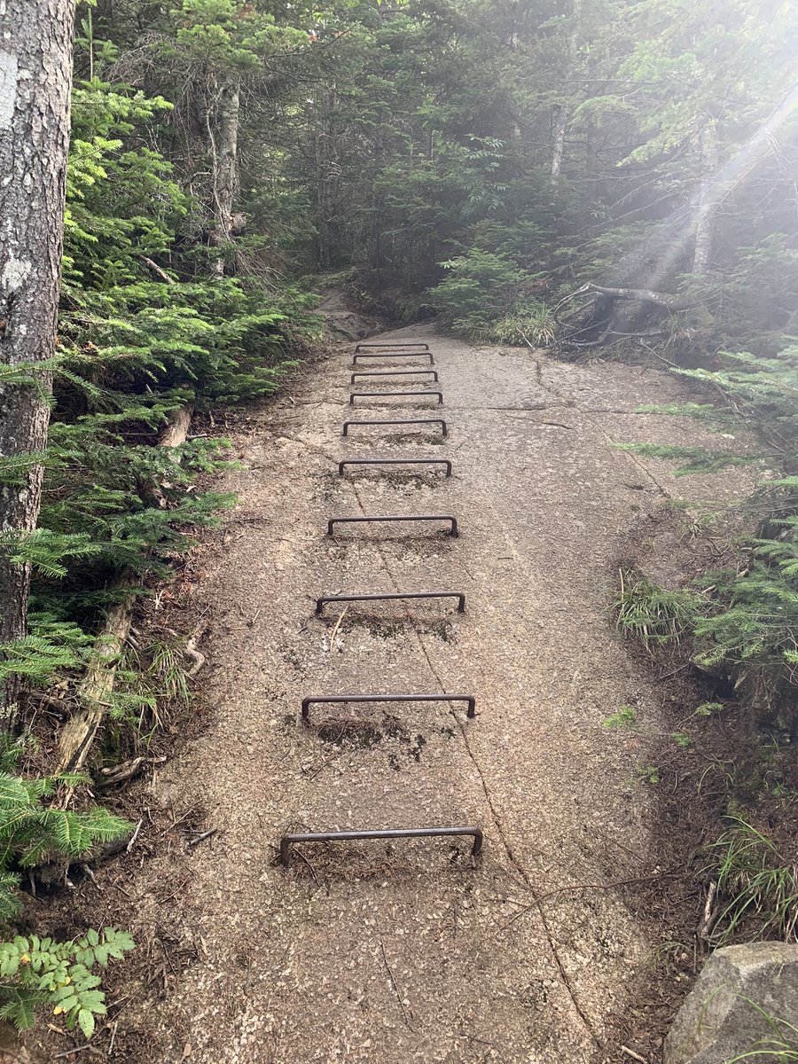 🌘🐺| MOONDOG OUTDOORS tweet media