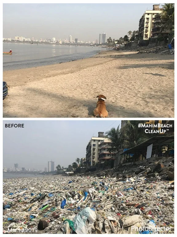Tiredearth's tweet photo. #India is waking up, the mahim beach #cleanup has cleared more than 700 tons of plastic from our beach.
#Tiredearth #plasticfreesummer #ÉtéSansPlastique https://t.co/6FX69nvq10