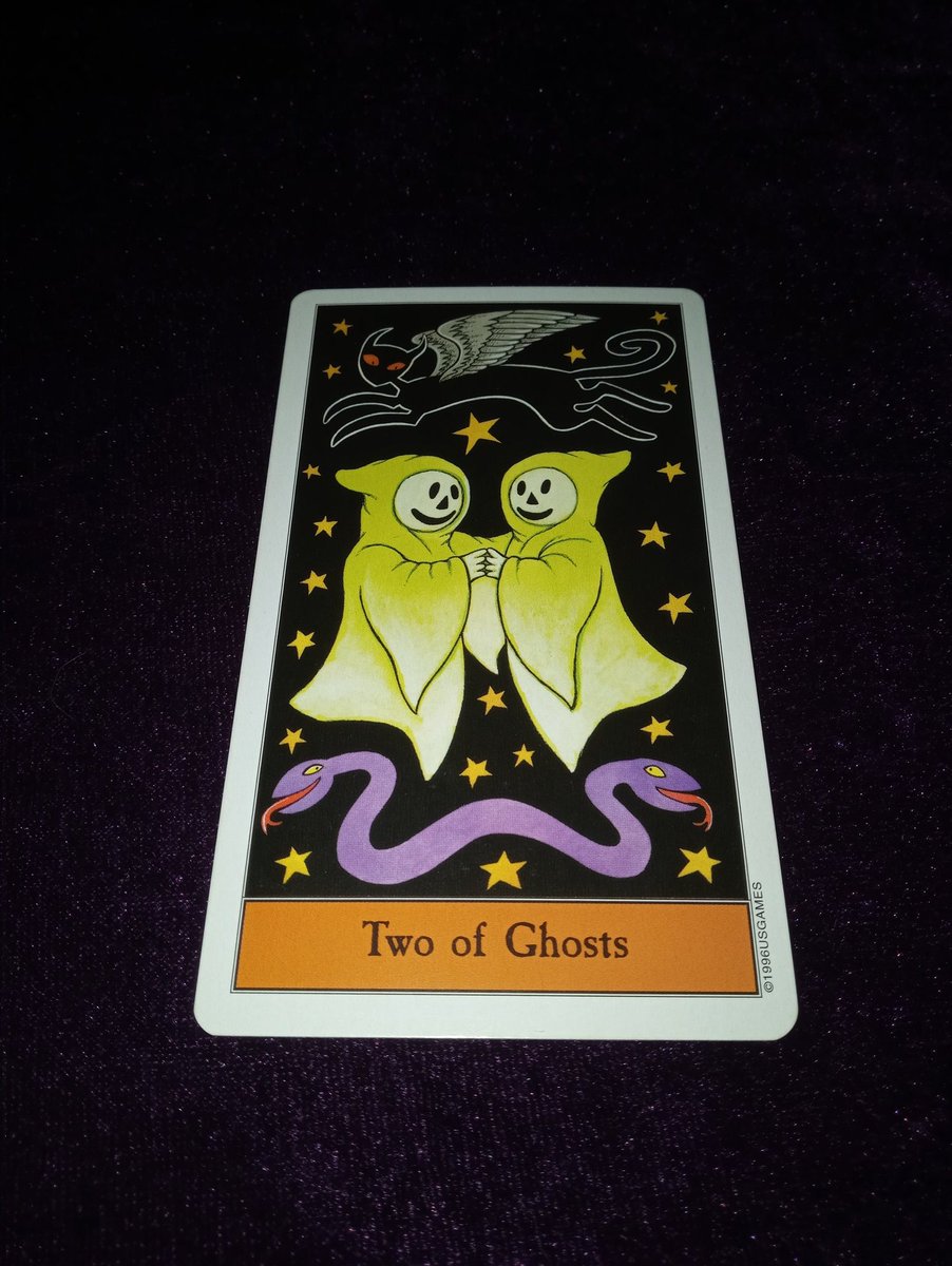 Follow the black cat.
What is the energy for today?
Two of Ghosts
It's a good time for personal relationships and even better for intimate ones. Be with each other.
#personalrelationship
#intimate