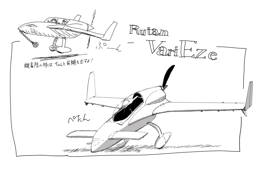 話題のポーズ! #飛行機 https://t.co/XDwrroOdsw 