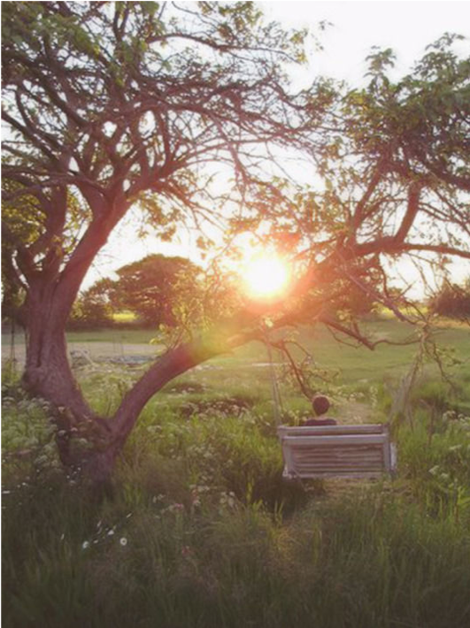 Join us online for worship this Sunday morning at 10:30: youtube.com/watch?v=CXUSTm…. Enjoy the last few lazy hazy days of August.