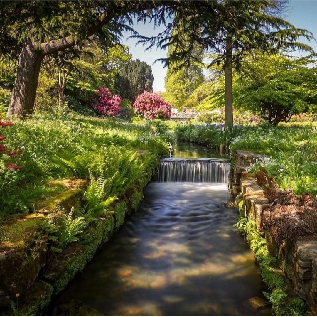 LateCottages tweet media