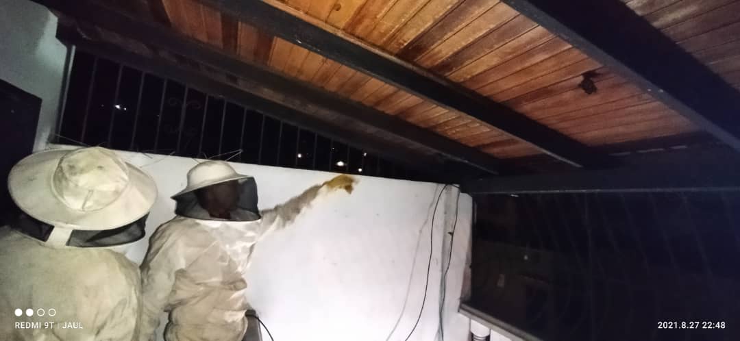 Se activa la unidad de rescate liviano B-04 hacia el sector Riveras del Torbes  para realizar eliminación de riesgo por himenopteros tipo avispas.
<a href="/MIJP_Vzla/">MPPRIJP</a> <a href="/PCivil_Ve/">Protección Civil</a> <a href="/PCMerida_Ncnal/">REDAN LOS ANDES - Protección Civil Nacional</a> <a href="/Juntosxtachira1/">Juntos por Táchira</a>