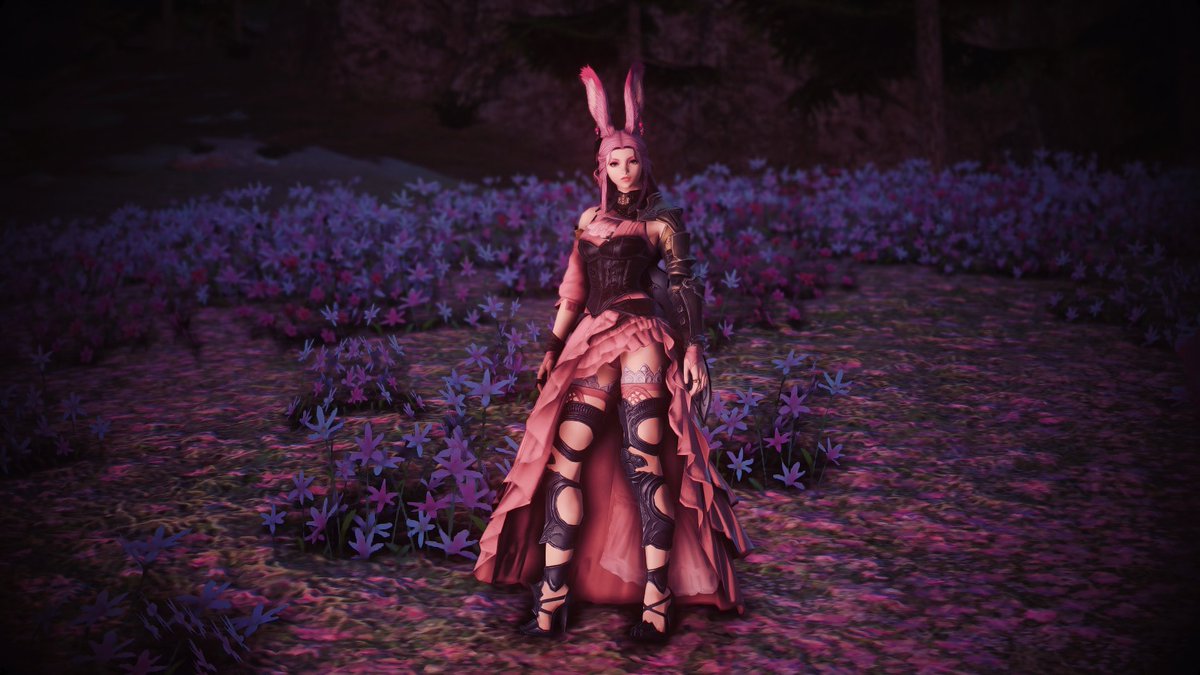 Marion_nanou's tweet photo. #FFXIV #PinkViera #Gunbraker #Maya_Purple_Collection #GShade https://t.co/c19GmZwa5z