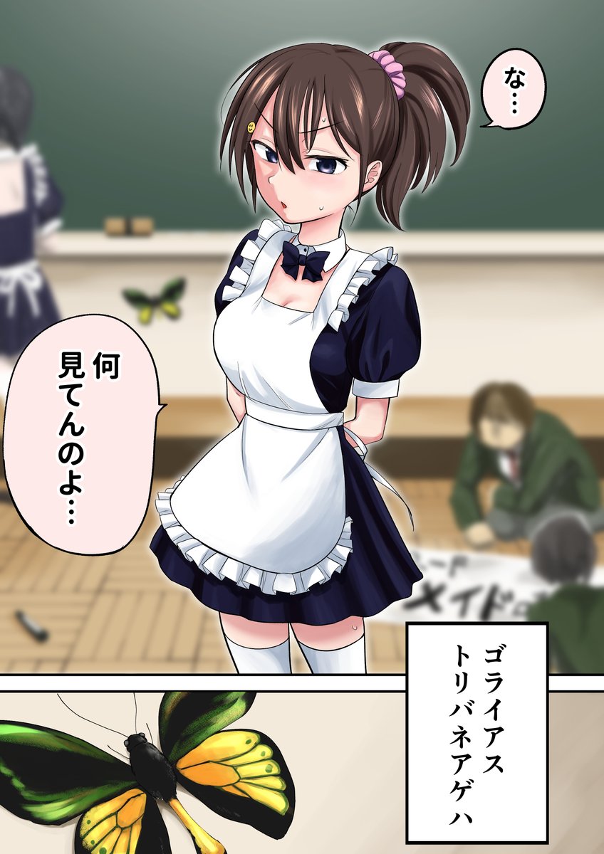 観察モノ三部作 