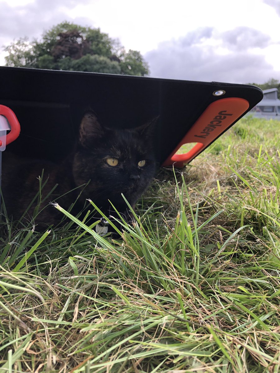 Jonboygoochy's tweet photo. @jackeryinc solar panel providing the ideal shade for tinkerbell whilst charging the #explorer500 https://t.co/N9Cw7VtFWh