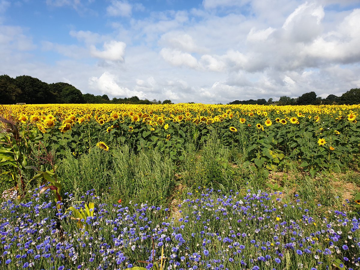 Mark Wardell tweet media