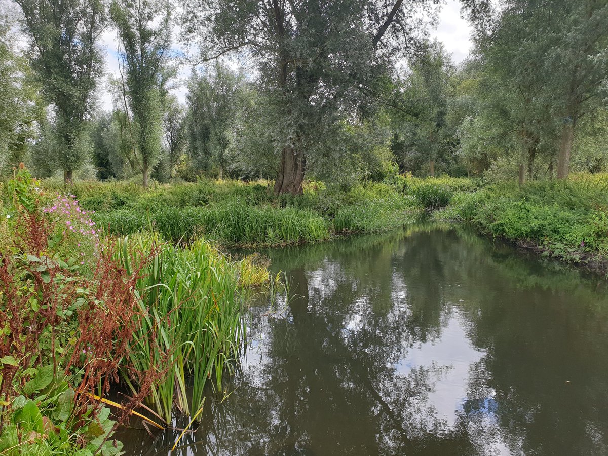 Mark Wardell tweet media