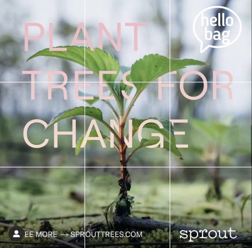 TheHelloBag's tweet image. Hello bag and Sprout will be working together as we encourage people to choose paper bags over single-use plastic when in the grocery. Help us close the loop and give back to our planet by reducing single use plastic and planting trees! @sprouttrees ✌🏼🌿🌏♻️
#hellobag #gadgets