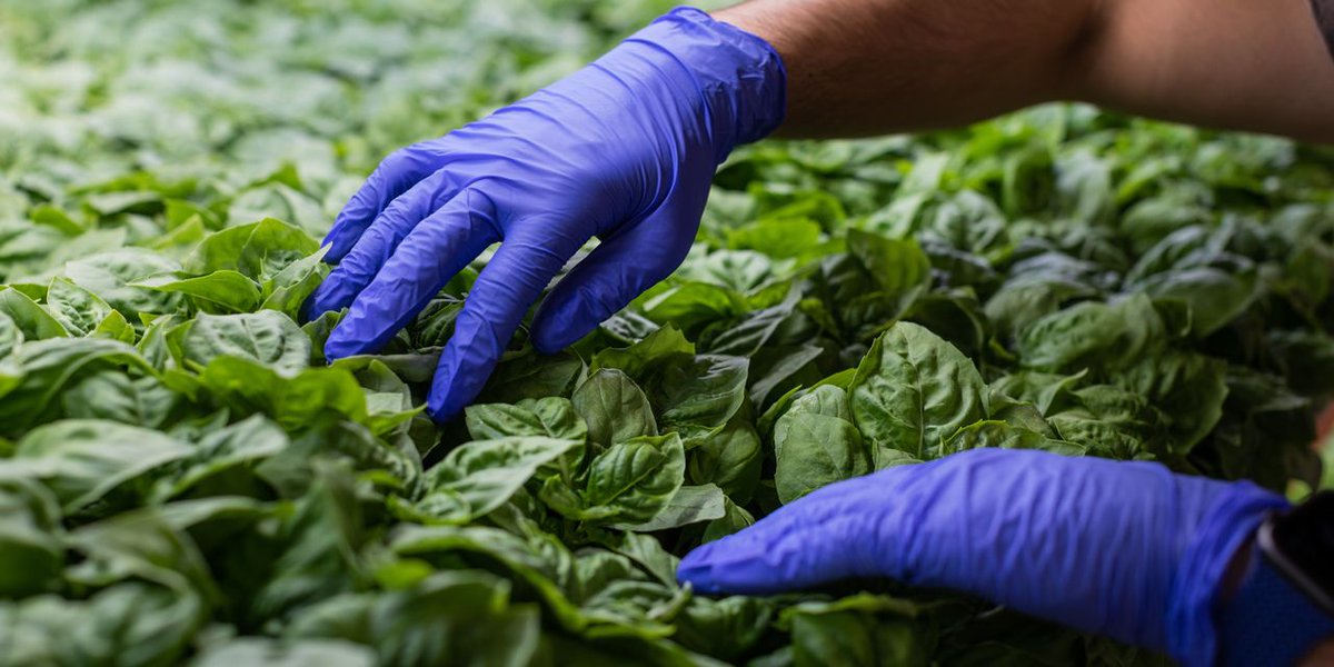 They Ditched the Office for the Farm. And Stayed. on.wsj.com/3yXg4bd