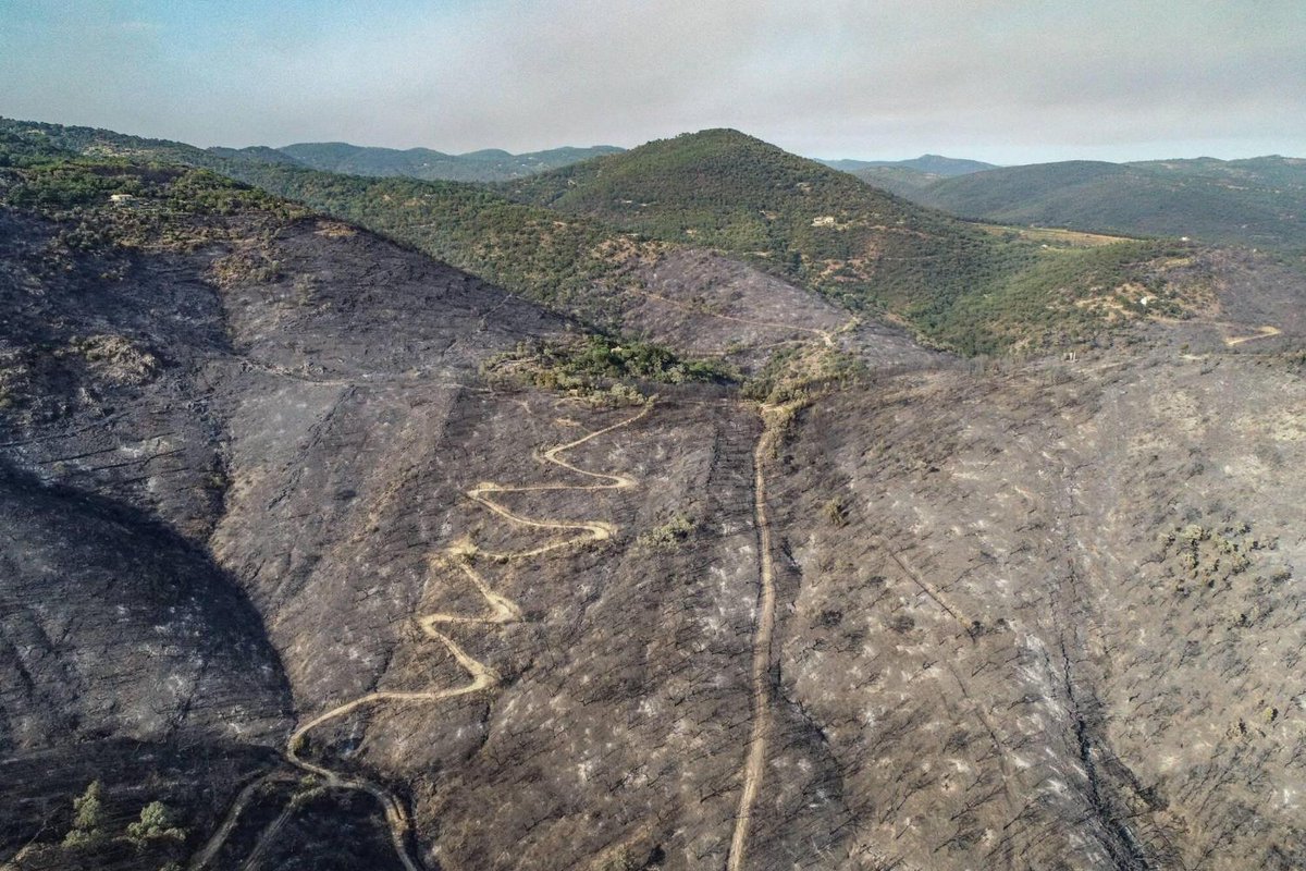 Var_Matin's tweet photo. Vue de drone, les dégâts impressionnants de l'incendie du feu au Val de Gilly https://t.co/6jGQgISS4z https://t.co/nsFUwgQ6oi