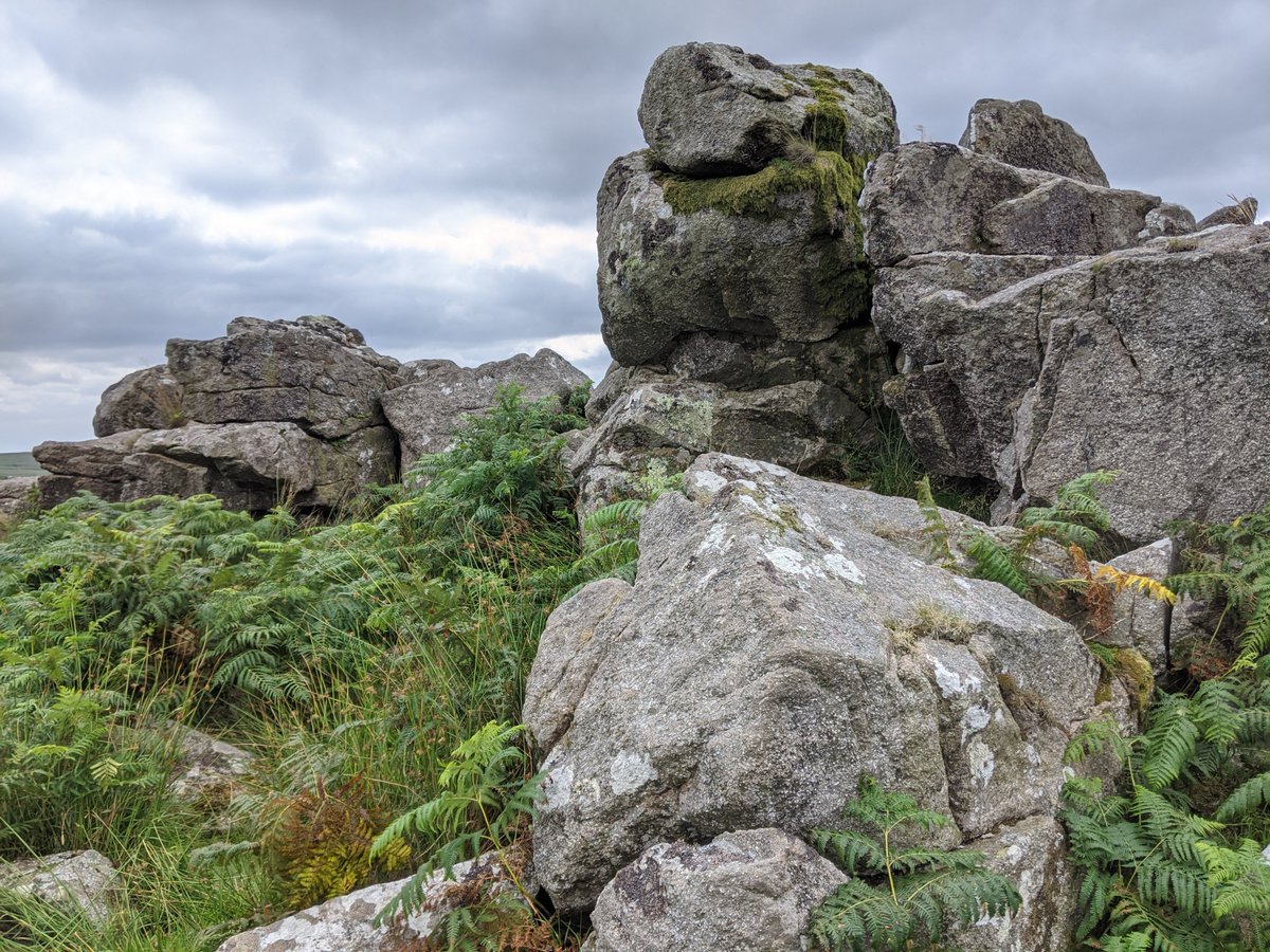 Tor_Bagger's tweet photo. Legis Tor.
#LegisTor #Dartmoor #TorBagging https://t.co/nJncs6OPzN