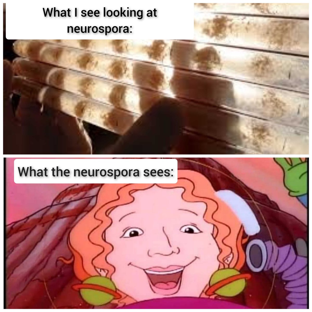 jackie pelham tweet media