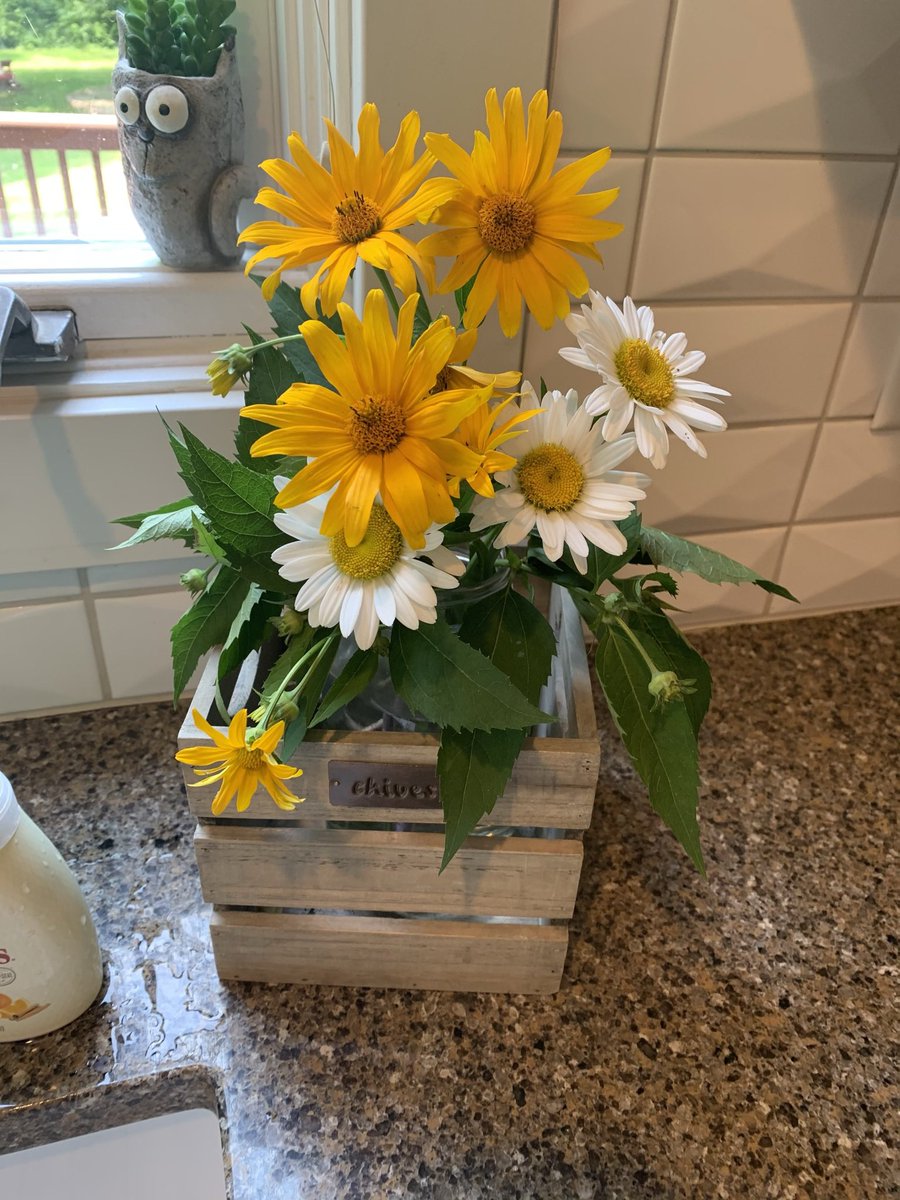 Desmona107's tweet photo. Summer sink bouquets…joy! https://t.co/nJEGHM1YrN