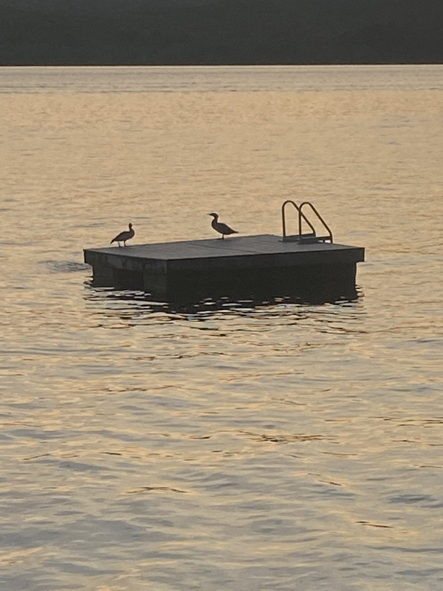 Jake Davey tweet media