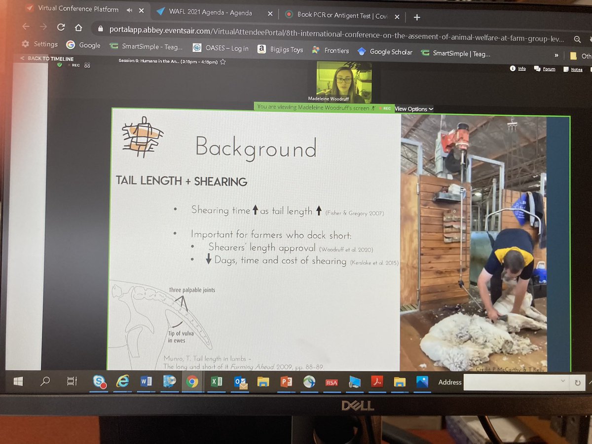 Laura Boyle 🇮🇪 tweet media