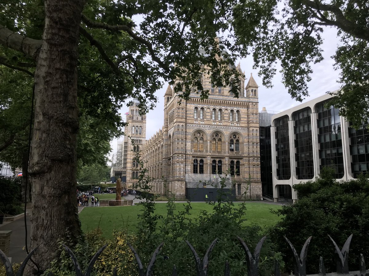 women_mars's tweet image. Welcome to a world of Gods &amp;amp; Monsters…
#Prodigium
#DarkUniverse
#UniversalMonsters