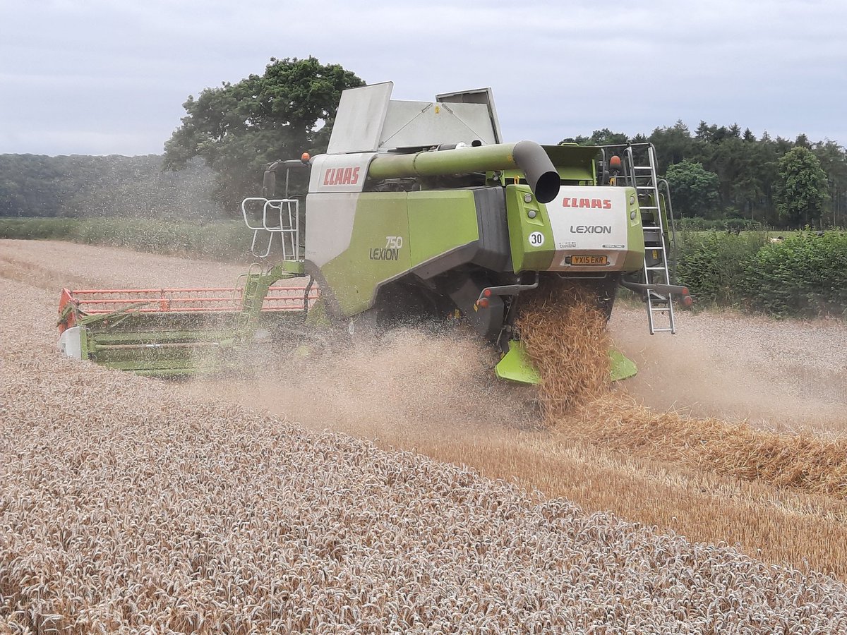 Richard Wainwright tweet media