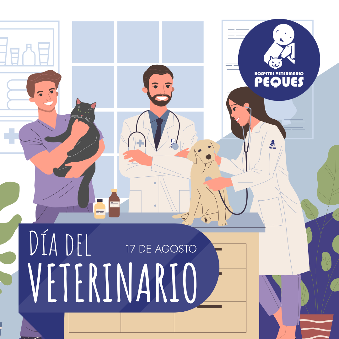 Hospitalpeques's tweet photo. !Muchas felicidades a todo el equipo Peques y a todos nuestros colegas! #DíaDelVeterinario #HospitalVeterinarioPeques https://t.co/faQaJn9lme