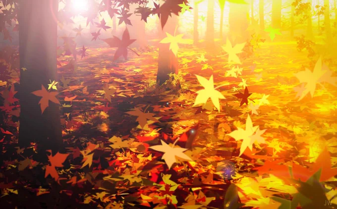 落ち葉🍂。 
