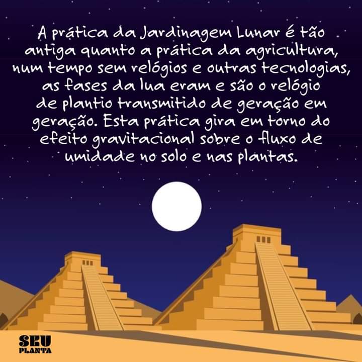 SeuPlanta's tweet photo. Plante sua comida!
Mesmo que não consiga plantas tudo o que consome, o pouco que conseguir, será livre dos venenos que consumimos.
Entenda de onde vem o alimento, e dê valor a quem cultiva de forma limpa e segura.

https://t.co/Zcqsz3wiXZ
#hortaemcasa #façasuahorta #plantasdecasa https://t.co/gwyKGIf4V8