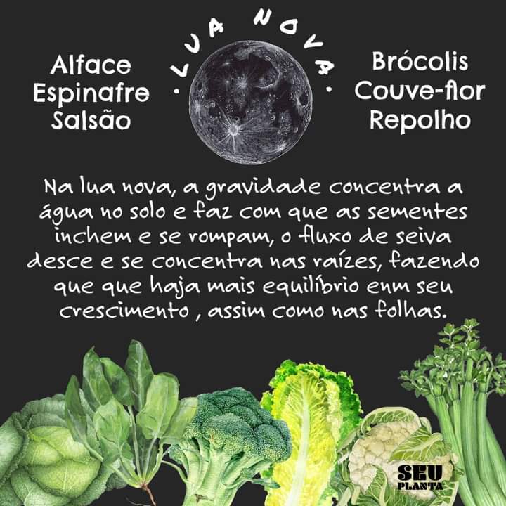 SeuPlanta's tweet photo. Plante sua comida!
Mesmo que não consiga plantas tudo o que consome, o pouco que conseguir, será livre dos venenos que consumimos.
Entenda de onde vem o alimento, e dê valor a quem cultiva de forma limpa e segura.

https://t.co/Zcqsz3wiXZ
#hortaemcasa #façasuahorta #plantasdecasa https://t.co/gwyKGIf4V8