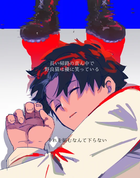 レディーレ 