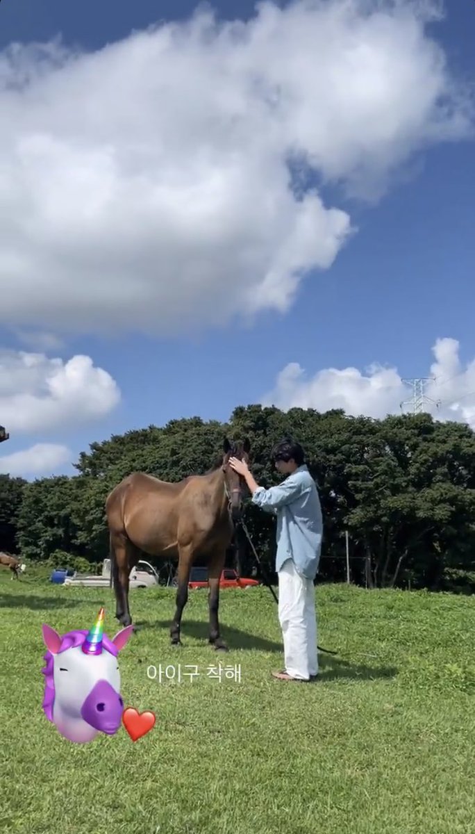 Today's theme : Making friends with the horsie