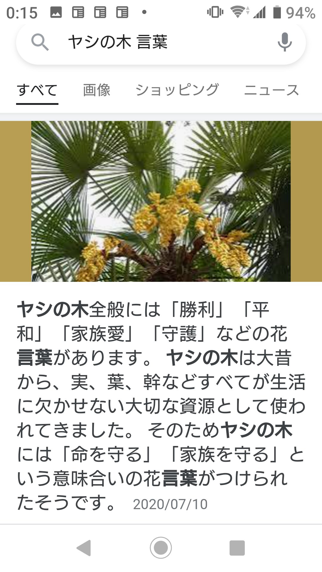 待ち焦がれ Charuna1113 Googleで調べちゃった ヤシの木にメリーさんとのエピがあるのかもしれないけど花言葉 として 守護 の言葉が そしてワインにもきっと素敵なエピがあるんだろうね T Co Qxct46xjuj Twitter