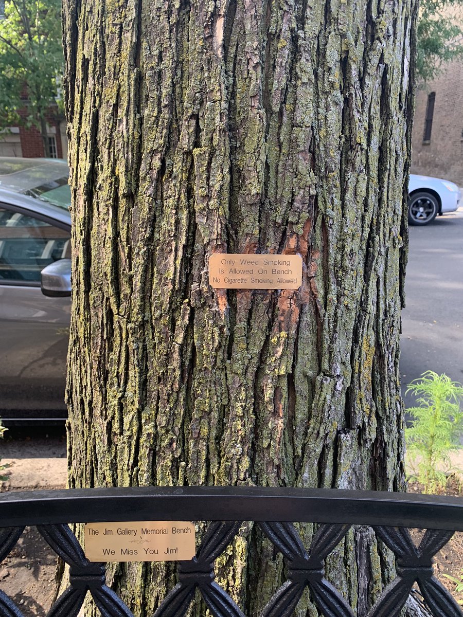 kelp_b's tweet image. Only Weed Smoking Is Allowed On Bench