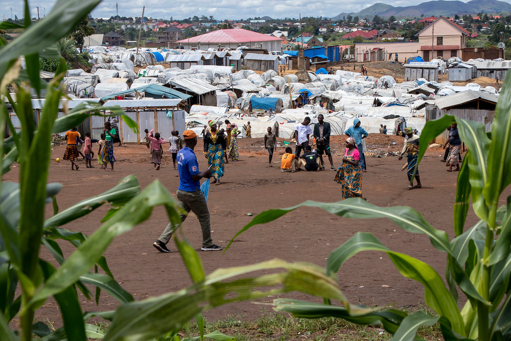 UNOCHA_DRC's tweet photo. Cette année, 1⃣,5⃣3⃣ million de personnes ont été contraintes de fuir leurs foyers en #RDC, portant à 5⃣,2⃣6⃣ millions le total de personnes déplacées internes au pays. 
92% des déplacements sont dus aux attaques et affrontements armés. 
👉https://t.co/0E6P47jElu https://t.co/qvv71ad8Ne