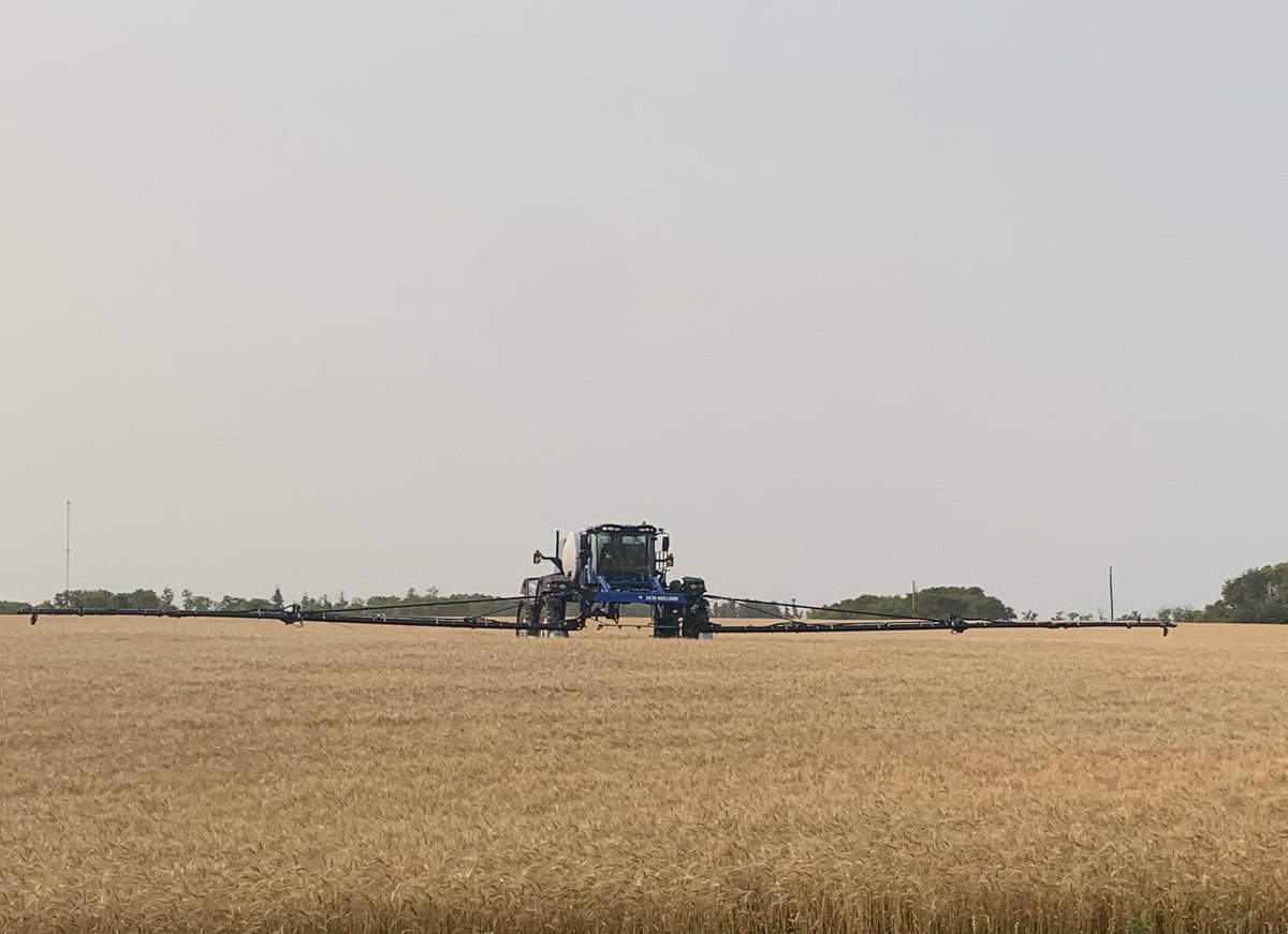 AcresForHamiota's tweet photo. Thank you to Travis Brooks and Brooks 3G Farms for spraying our Acres for Hamiota field today! Thank you to BASF and Richardson Pioneer in Shoal Lake for donating the chemical for this application! Harvest day is around the corner! https://t.co/v5LUbBsBRi