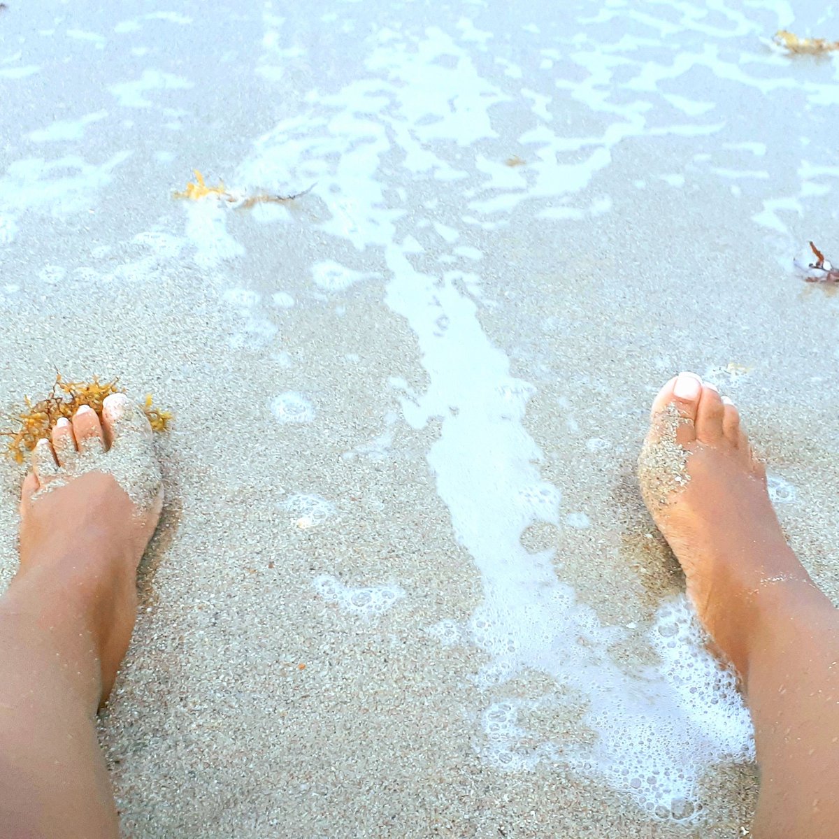 footsie2021's tweet photo. Hey so I'm to get a new Pedi today what color should I get???? #pedicures #massage #feetworshi̇p #feetcontent #footmodel #FOOTFETİSH #footfetısh #footbuyers https://t.co/zhlCfhfXgn