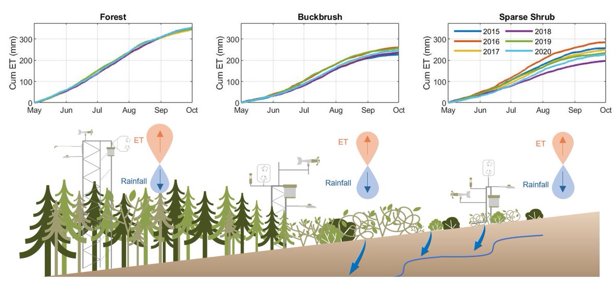 Erin Nicholls (@erin_nicholls_) on Twitter photo Who will speak for the trees? (& shrubs!?) #Permafrostthaw is often assumed to be the primary control on northern climate-driven hydrological change, but what do #trees and #shrubs have to say?
sciencedirect.com/science/articl…
<a href="/GWF_pubs/">Global Water Futures Publications</a> <a href="/WolfCreekYT/">Wolf Creek Research Basin</a> <a href="/GWFutures/">Global Water Futures</a> #shrubification #treeline Who will speak for the trees? (& shrubs!?) #Permafrostthaw is often assumed to be the primary control on northern climate-driven hydrological change, but what do #trees and #shrubs have to say?
sciencedirect.com/science/articl…
<a href="/GWF_pubs/">Global Water Futures Publications</a> <a href="/WolfCreekYT/">Wolf Creek Research Basin</a> <a href="/GWFutures/">Global Water Futures</a> #shrubification #treeline