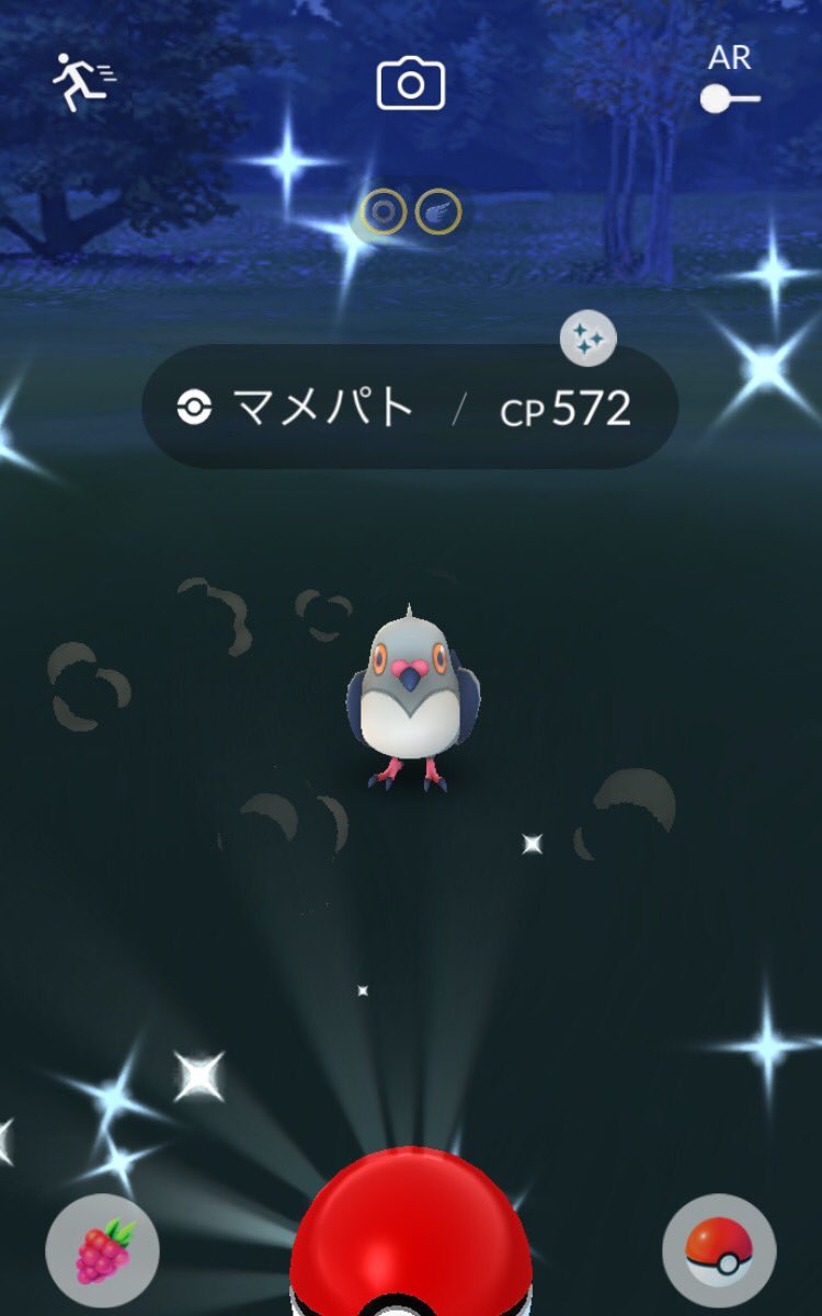 もちきっきくん クイタランとマメパトのイロチをゲットしましたーーーー クイタラン色違い マメパト色違い T Co As06ndx4xf Twitter