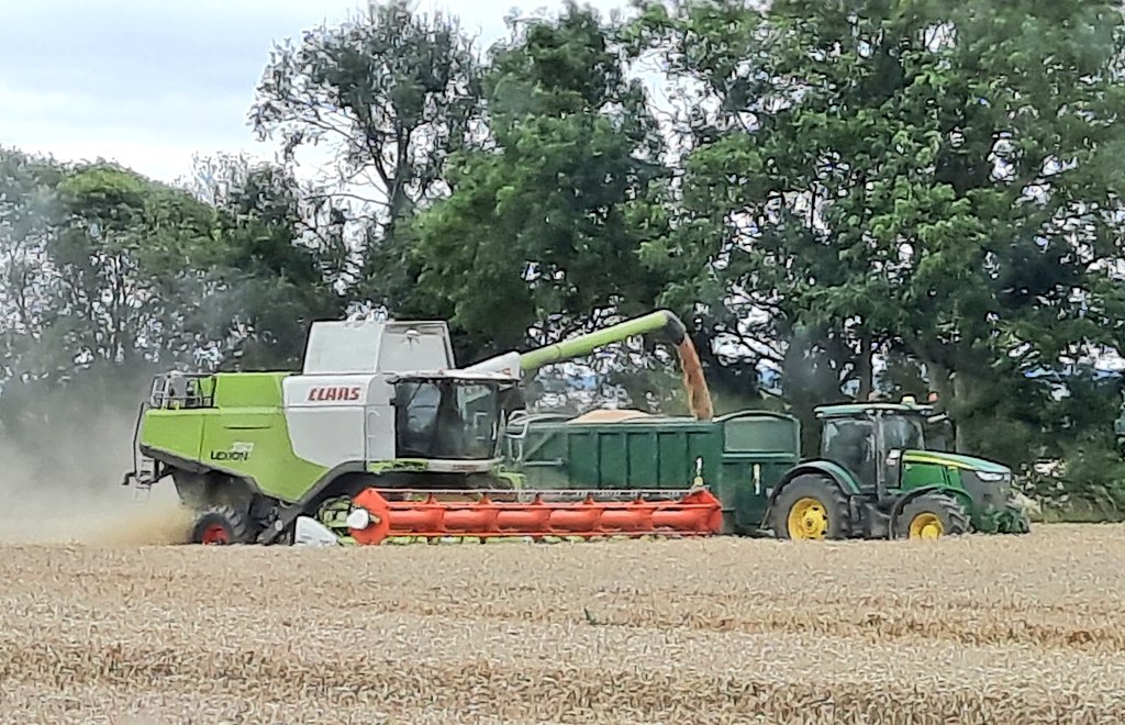 Chris is looking after her for you <a href="/SteveClark1980/">Steve Clark</a> (if you know .....)🤠