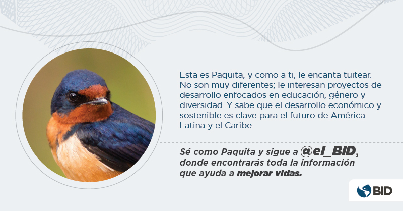 Banco Interamericano de Desarrollo tweet media