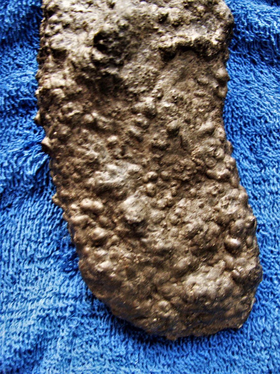Eurypterus's tweet photo. #Sponge adaptations for interacting / interfacing with their sediment substrates. #TipOver #DamageControl #BeaverTail #RollerBall #ConicalWedge #Attachment.
Evolutionary adaptations "anticipate"
#TipOver & the need for #DamageControl
#Sponges #SpongeThursday #FossilFriday #Reef https://t.co/FIEroTx5de