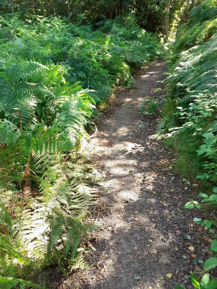 Some steep hills on this #AHPsActive walk #OrthoptistOnTheMove