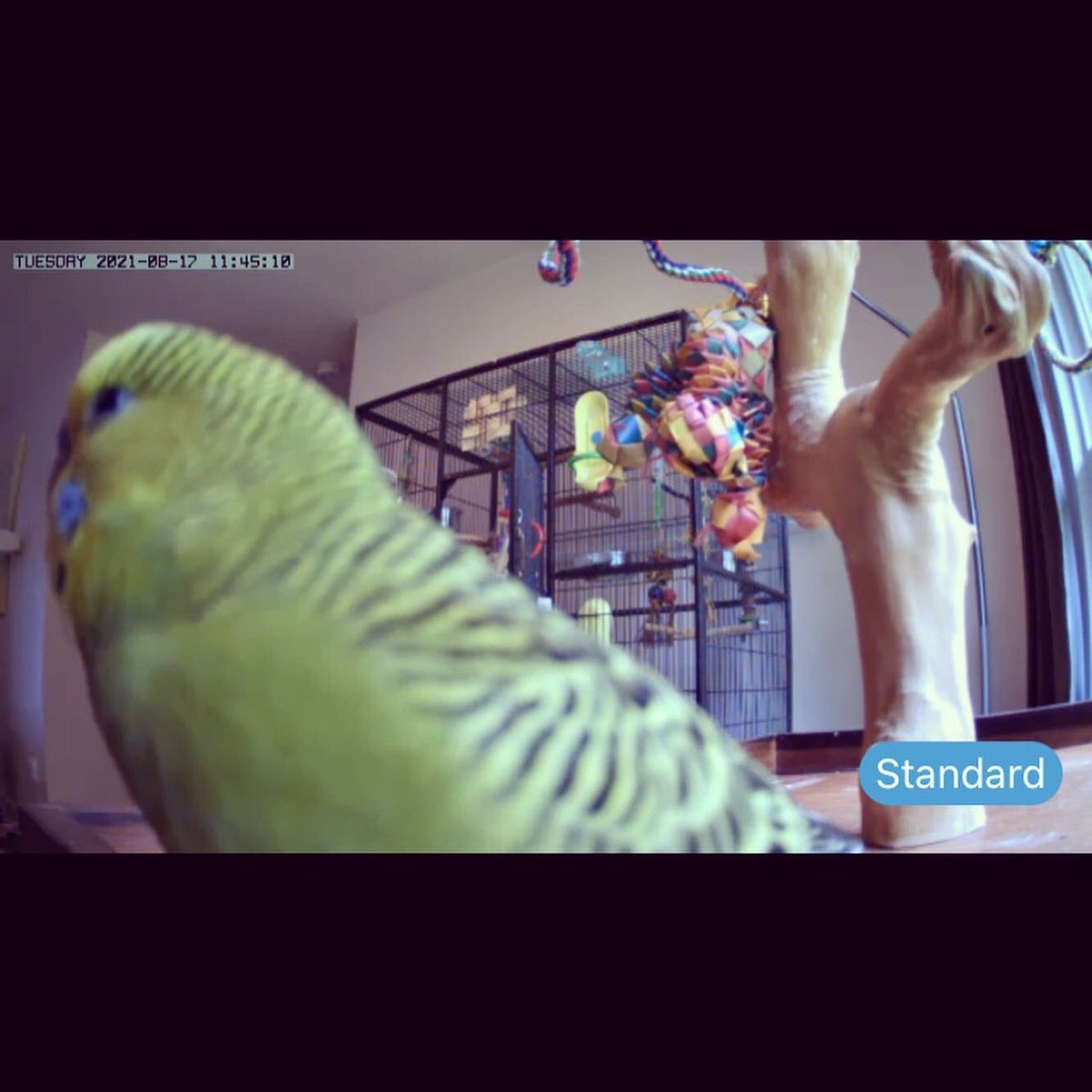 Someone made friends with their “nanny cam” today 😂🤦‍♀️