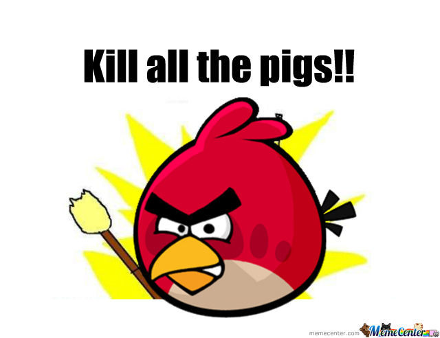 It's funny to see all the old memes made about Angry Birds. 