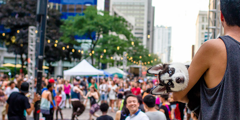 visitmilwaukee's tweet photo. #ShopLocal artists & makers, eat amazing food, listen to live music & more at the #NightMarket presented by @MTFN_Law tomorrow, August 18 from 5-10p.m.!
Learn more: https://t.co/VWF0D2qeJU https://t.co/l67A1Prd6V