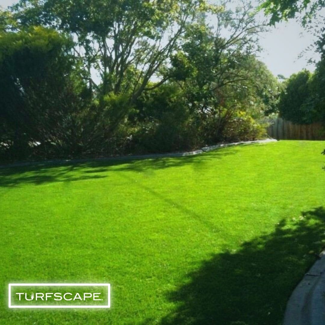 actglobalturf's tweet photo. Could you imagine walking out to your backyard, and this is your view? Talk about living your best life!
Turfscape makes it easy!
#TurfscapeTuesday #ArtificialTurf #OutdoorLiving #LinkInBio #TurfYard #Familytime #HotTurfSummer https://t.co/ZaGb2TBNt3