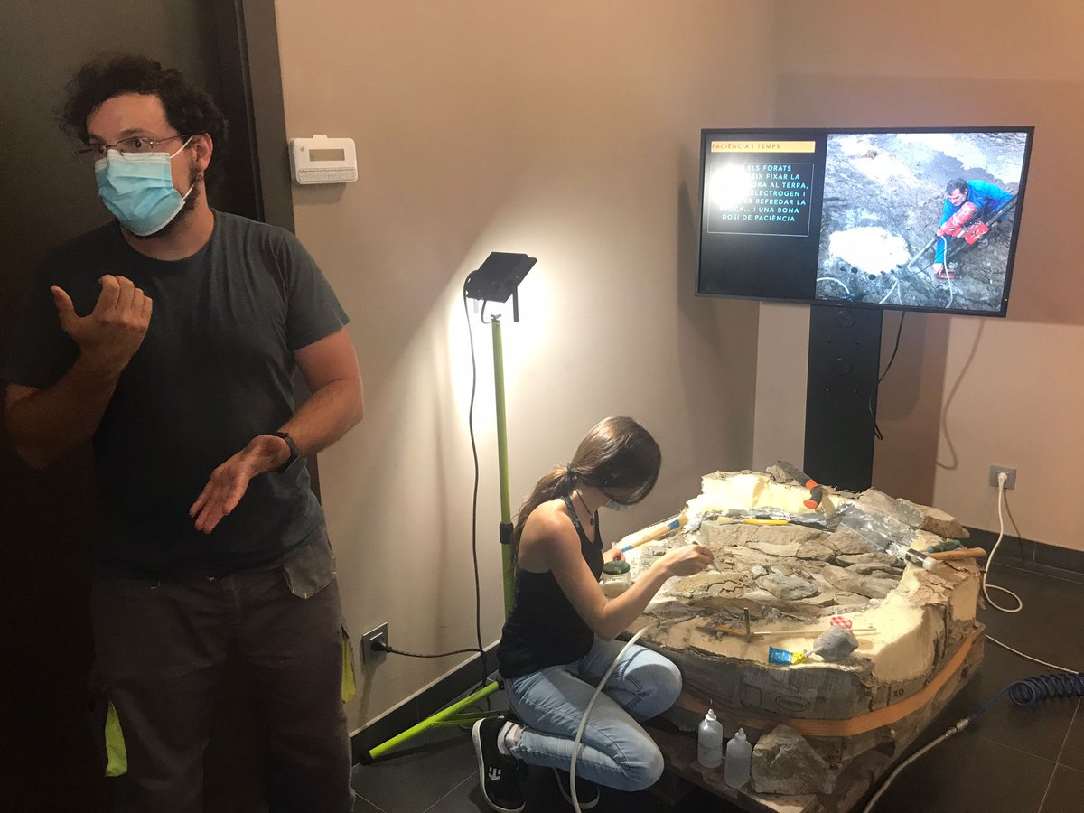 Dinosaures tweet media